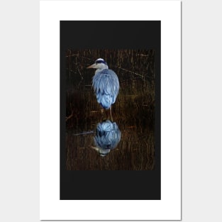 GOT THE GREY HERON BLUES... Posters and Art